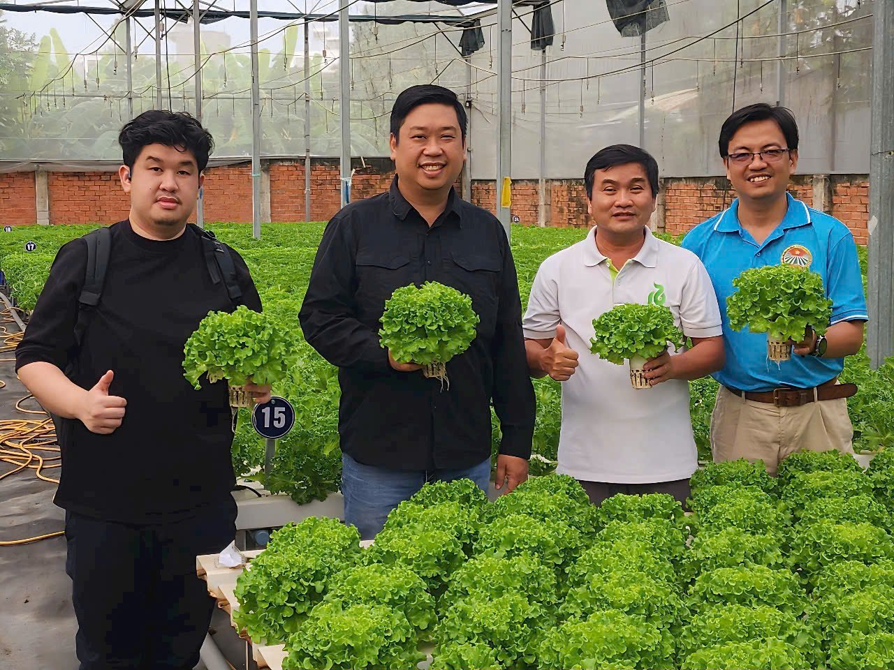 Siêu đô thị TP.HCM có những “ngôi sao” hợp tác xã nông nghiệp nào mới được nêu tên?